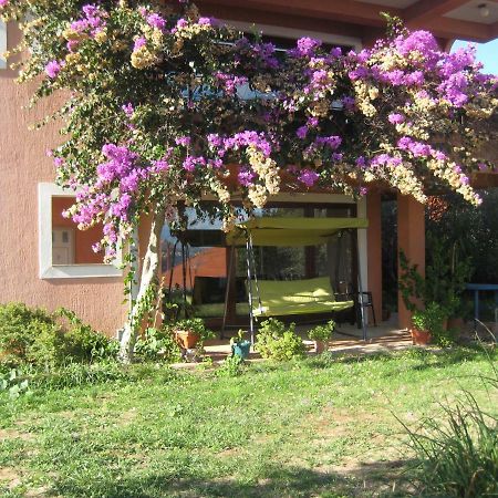 Apartman Lavanda Кали Экстерьер фото